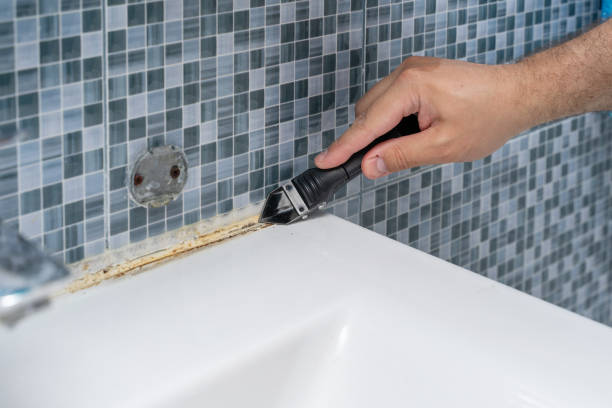 Best Mold Remediation for Schools in Calcium, NY